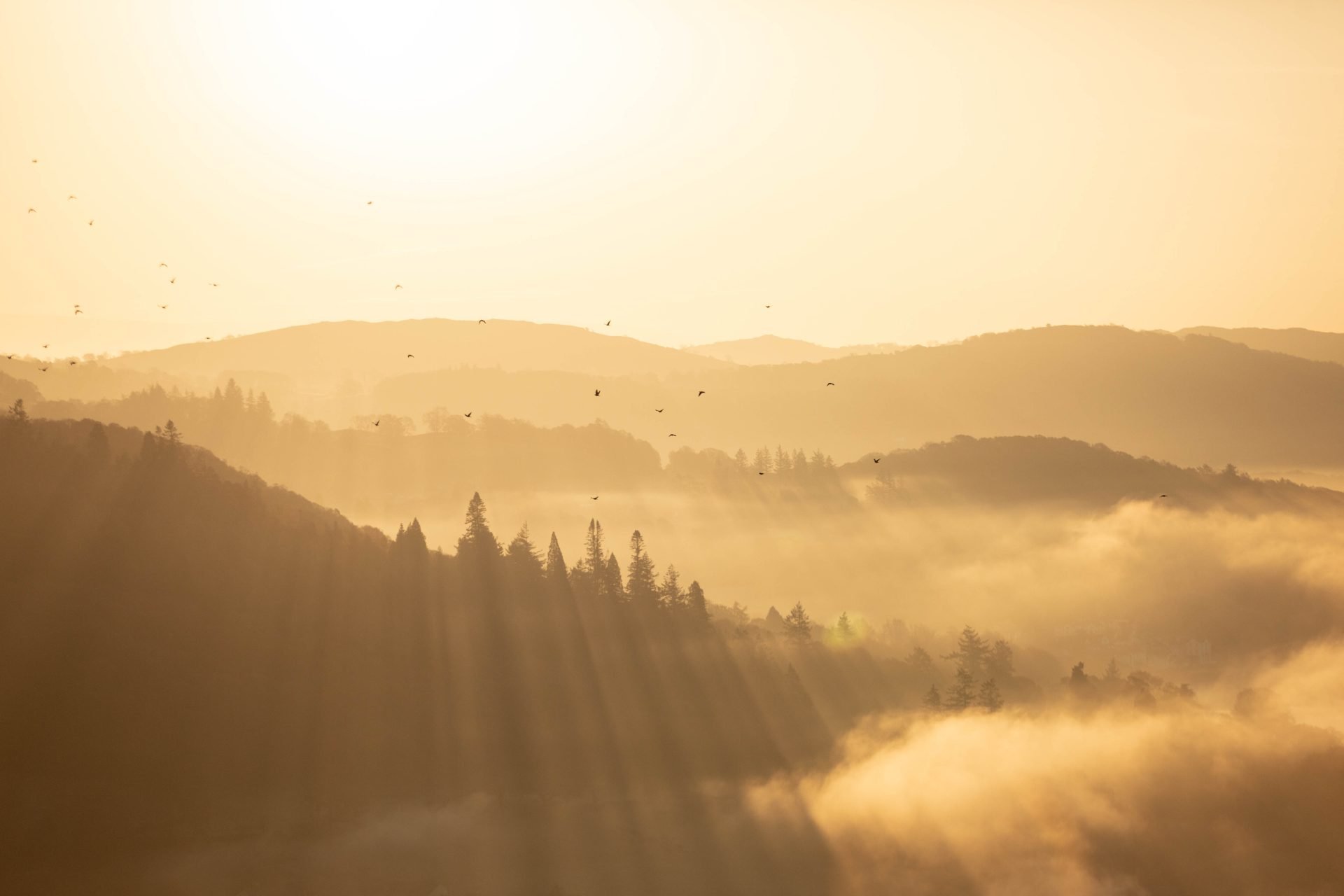 Loughrigg sunrise-68 Loughrigg sunrise-68